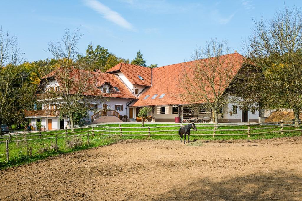 ein Pferd steht auf einem Feld vor einem Haus in der Unterkunft APARTMENT ZYNGA - STUD FARM in Šentvid pri Stični