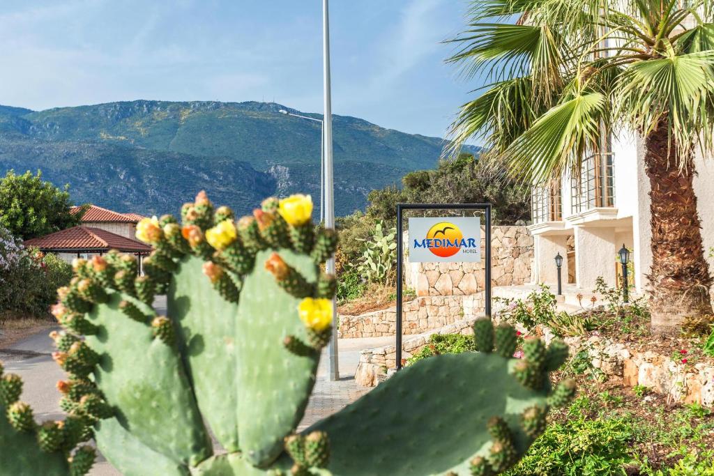 a prickly pearuanauanauanauanauanauanauanauanauanauanauana at Medimar Hotel in Kaş