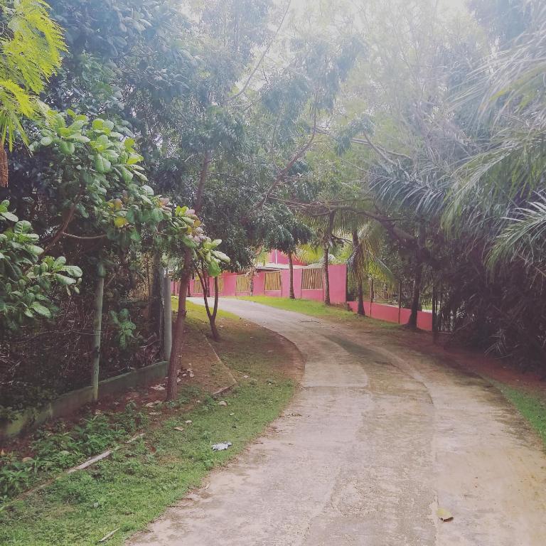 Zahrada ubytování Pousada Ilha do Meio