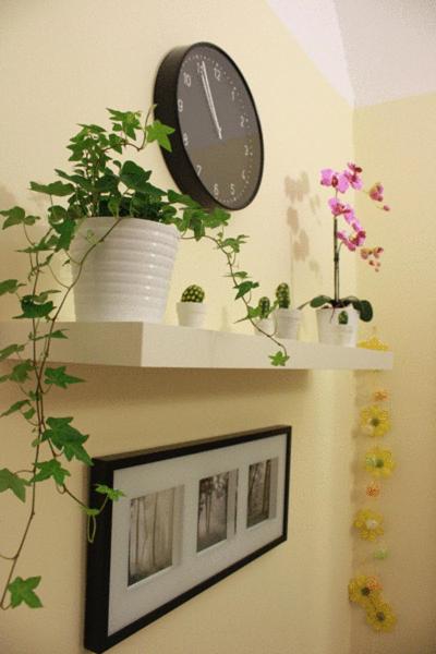 Hotel Campidoglio - Resim 32