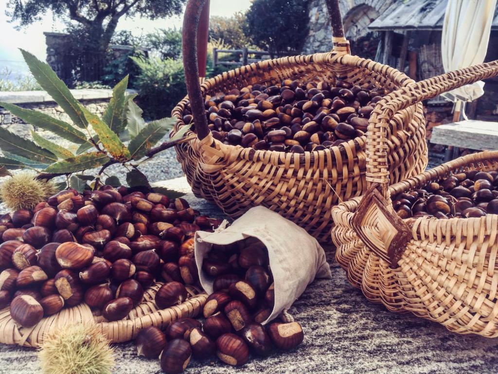Fotografie z fotogalerie ubytování Agriturismo Treterre v destinaci Pianello Del Lario