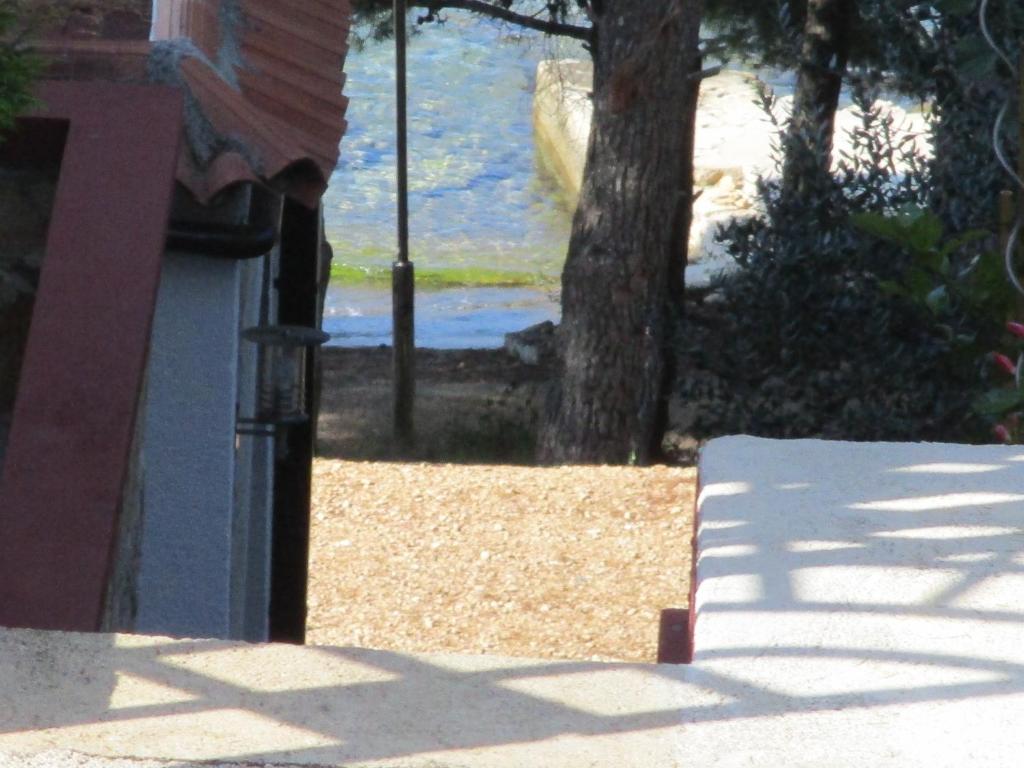 a building with a view of a tree and water at Apartments Meni in Drage