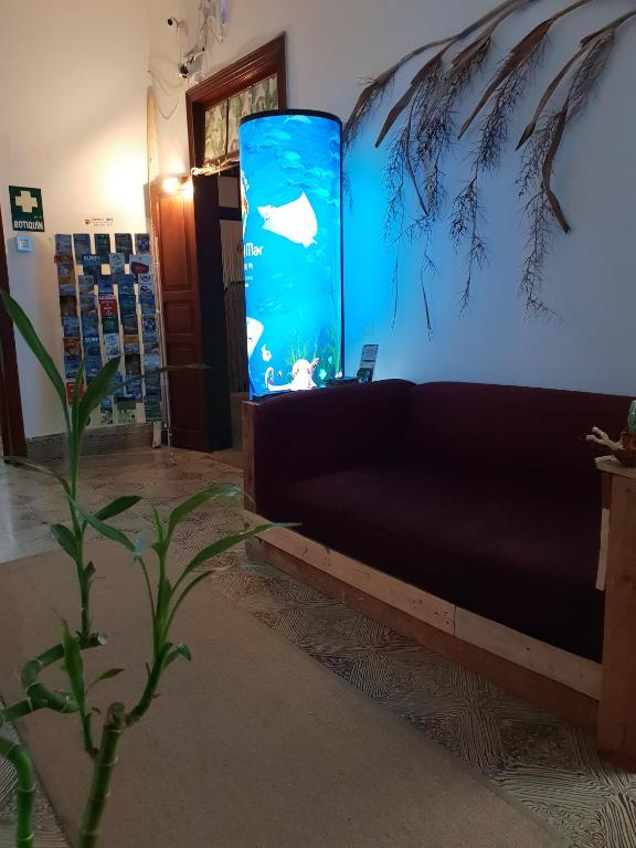 Cactus Host, Las Palmas de Gran Canaria (updated prices 2026)
