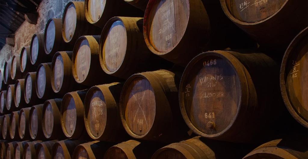 lita’s House Oporto Bainharia - 17