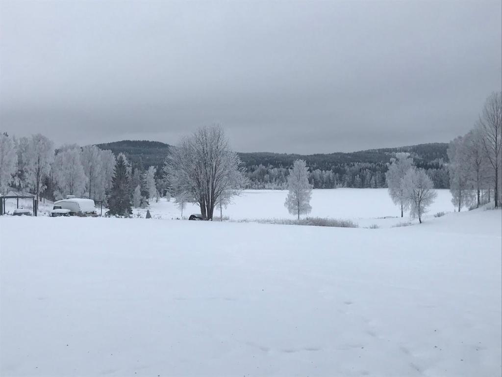 Ängsliden v zimě