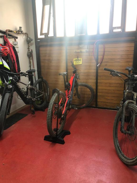 Jízda na kole v ubytování hostal trevol nebo okolí