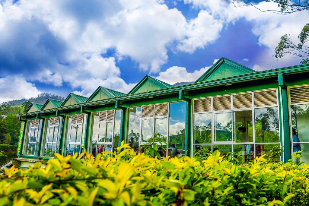 Zahrada ubytování Punsisi Resort - Adam's Peak