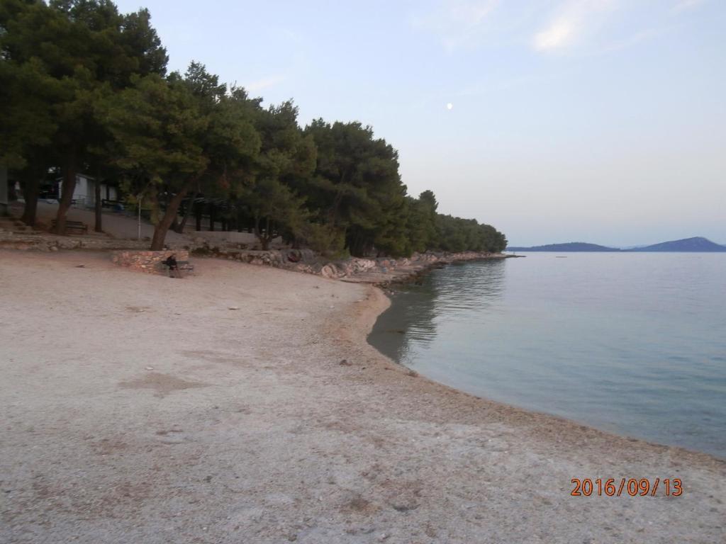 a beach with trees on the shore of a body of water at Apartments Meni in Drage