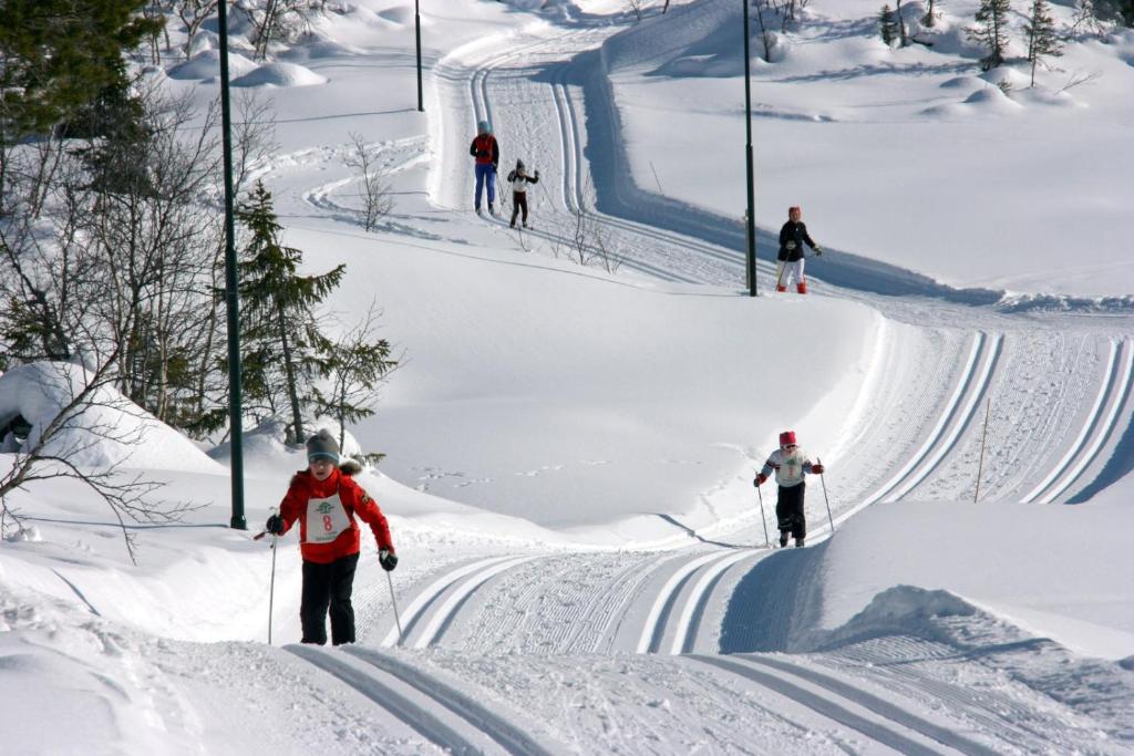 Kvitåvatn Fjellstue v zimě
