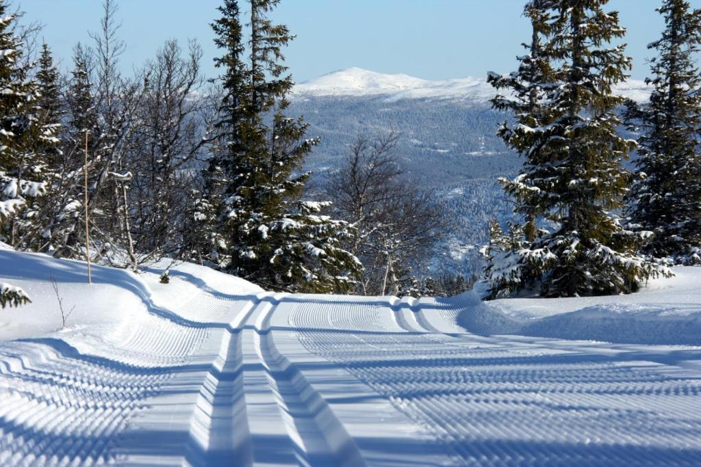 Kvitåvatn Fjellstue v zimě