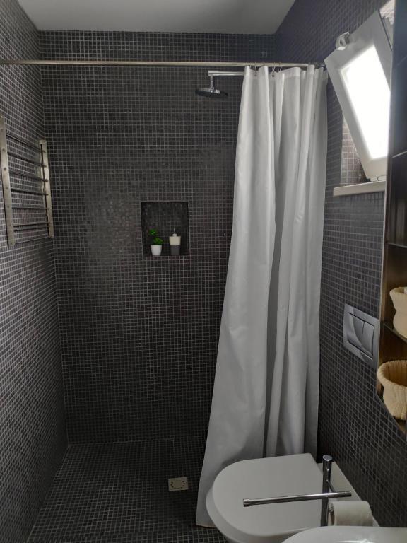 uma casa de banho com um chuveiro, um WC e um lavatório. em Casa do Arco, Santarém em Santarém