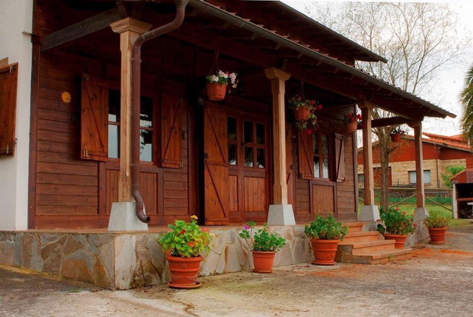 Noriega的住宿－El bordón de Noriega，一座有盆栽植物的房子的门廊