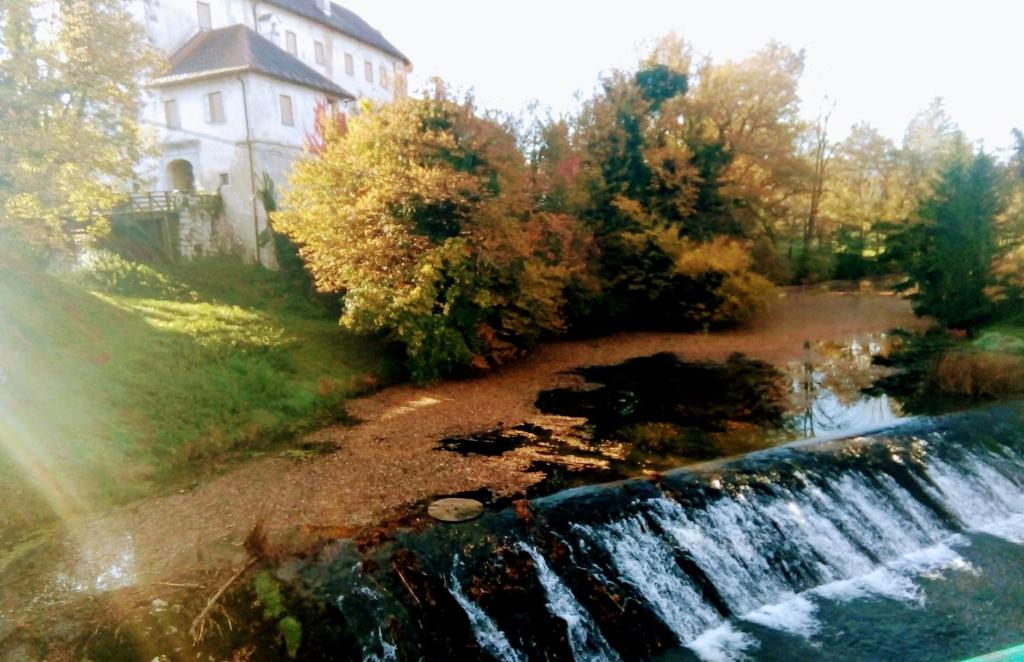 Příroda nedaleko apartmánu