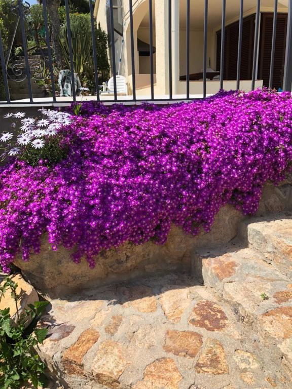 Villa Bouganvilla, Tossa de Mar – Updated 2022 Prices