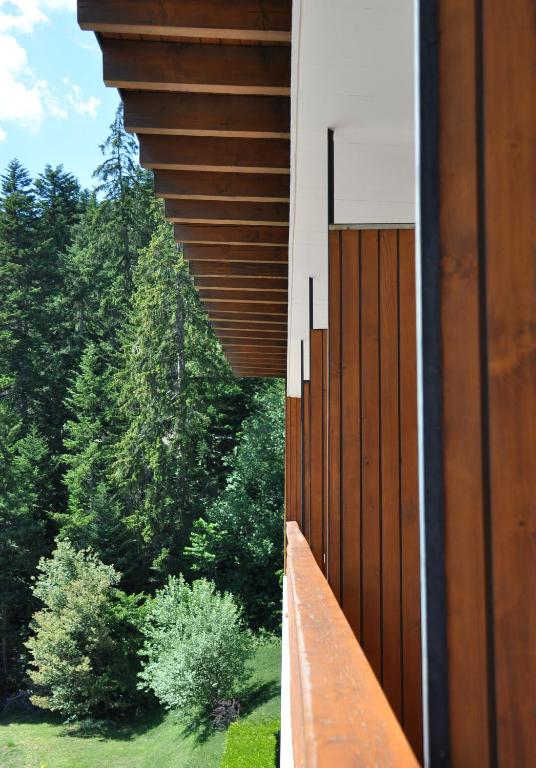 Fotografie z fotogalerie ubytování Hôtel historique Chez Elsy - Crans-Sapins v destinaci Crans-Montana