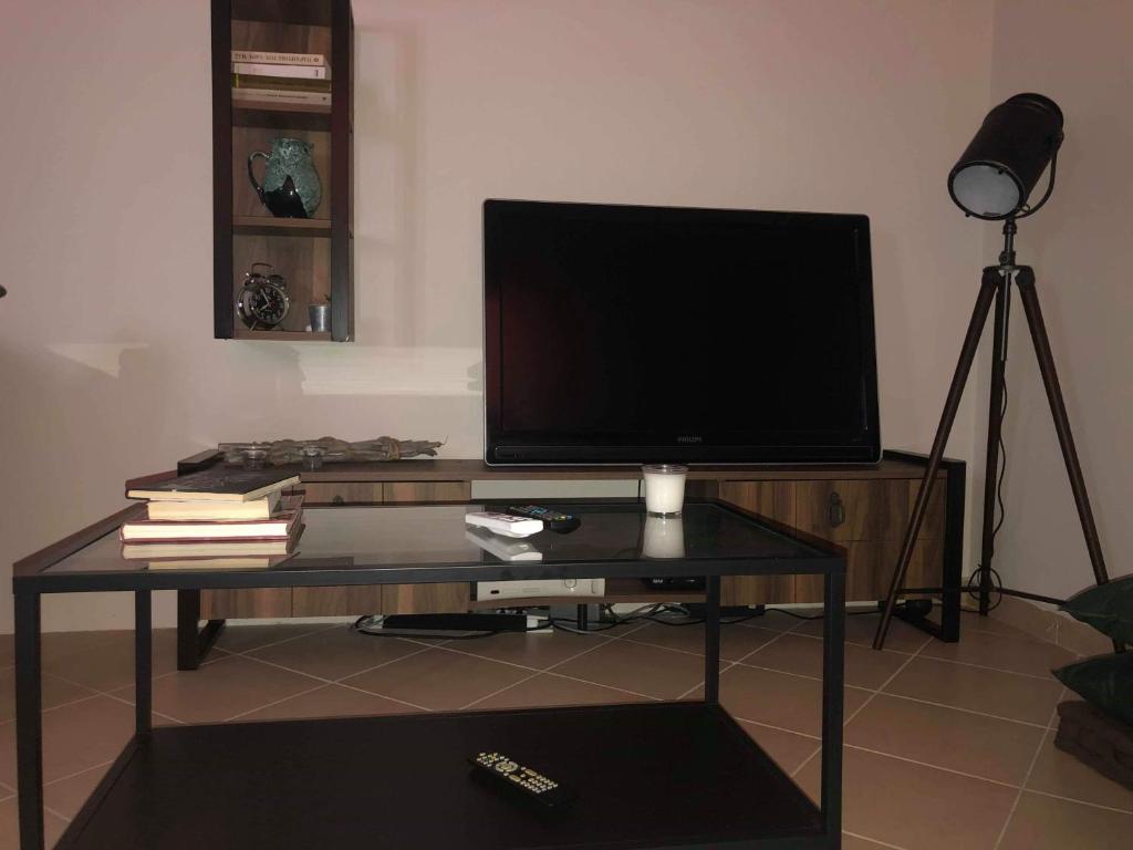 Televízia a/alebo spoločenská miestnosť v ubytovaní Amelia's house