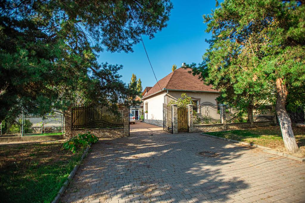 a driveway leading to a house with a gate at Lizak in Berehove