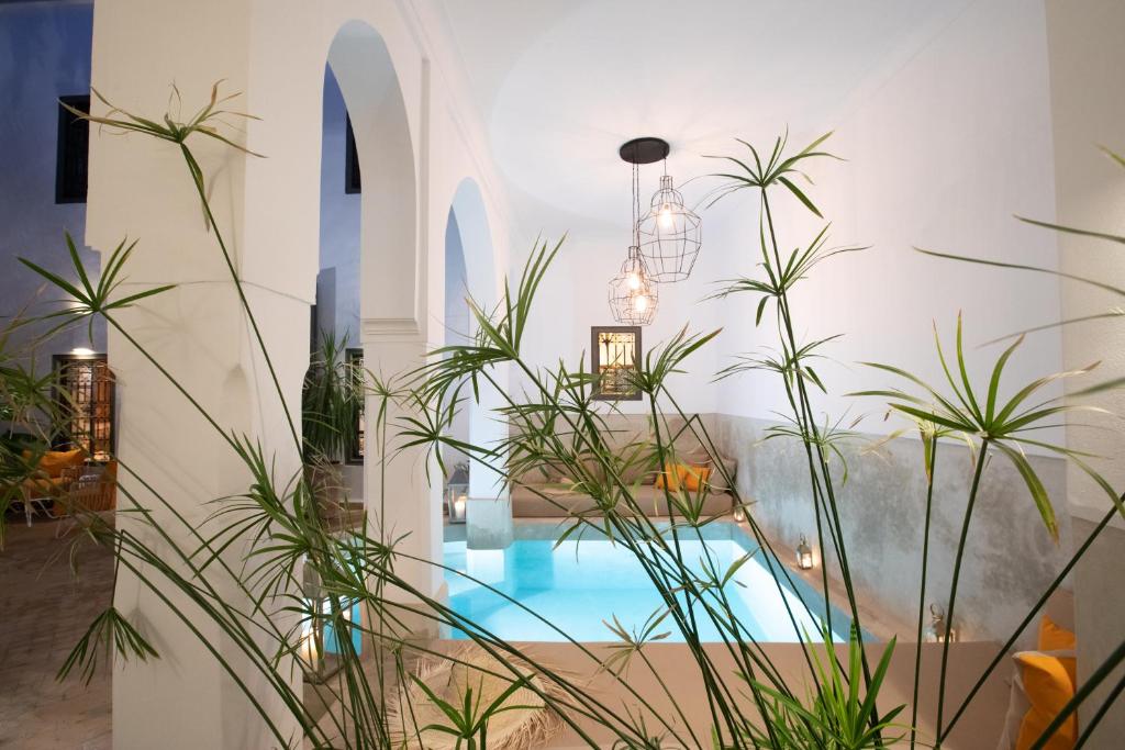 a house with a swimming pool and plants at Dar Titrit in Marrakesh