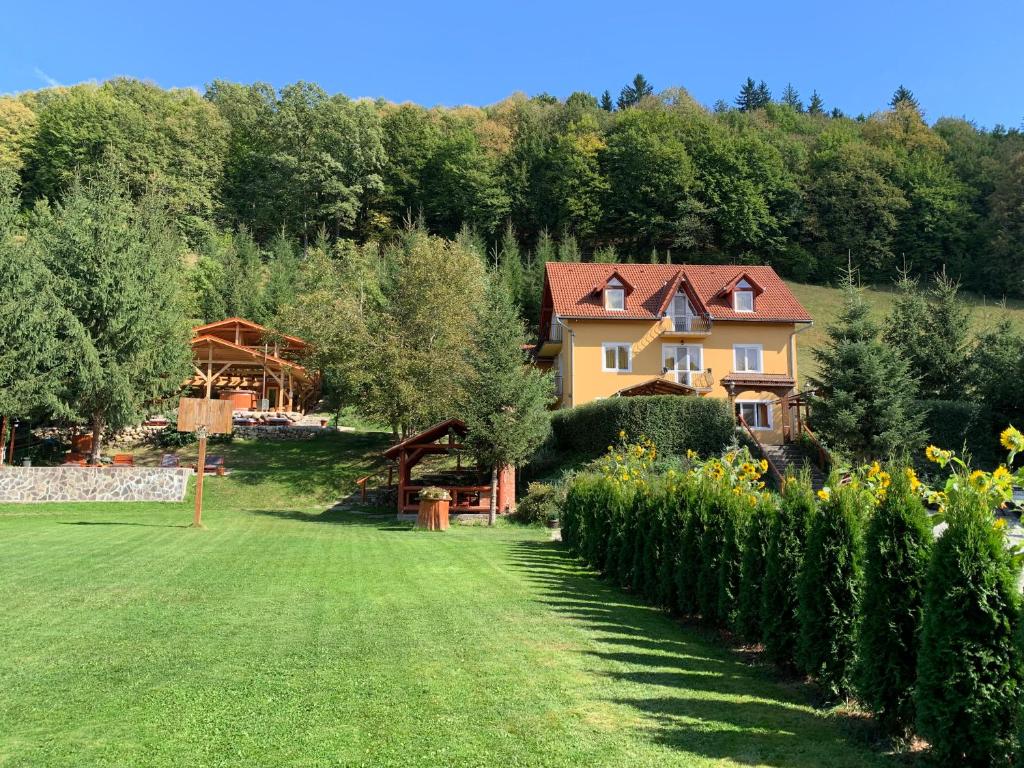 un gran patio con una casa al fondo en Hétvezér Panzió en Sub Cetate