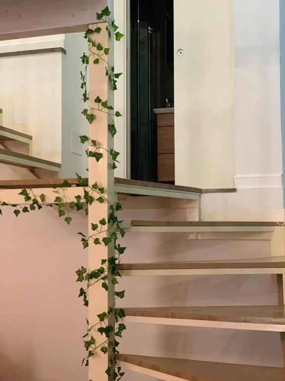 Zdjęcie z galerii obiektu La Casa Sul Vicolo - CENTRO STORICO w mieście Palermo