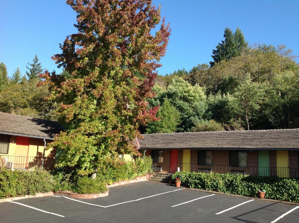 a large tree in a parking lot in front of a building at Humboldt Redwoods Inn in Garberville