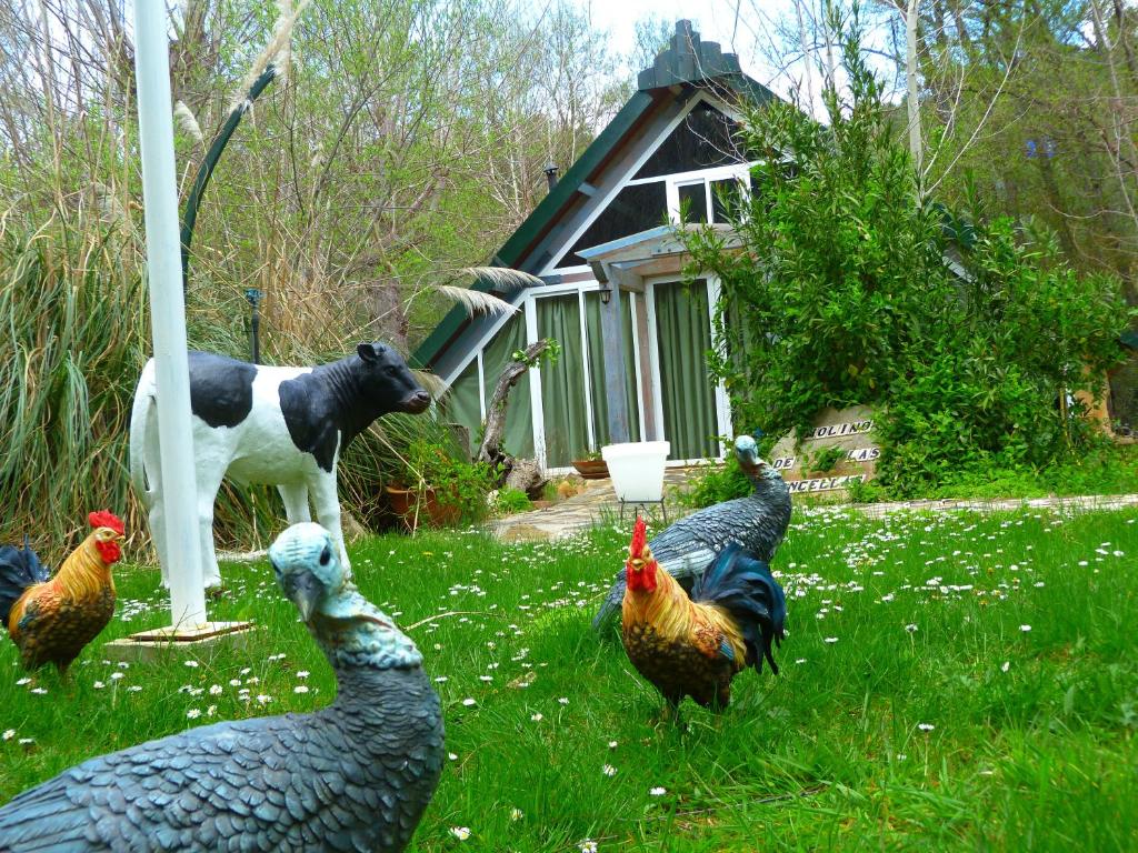 a group of chickens and a dog in a yard at Hotel Sierra Madrona in Fuencaliente