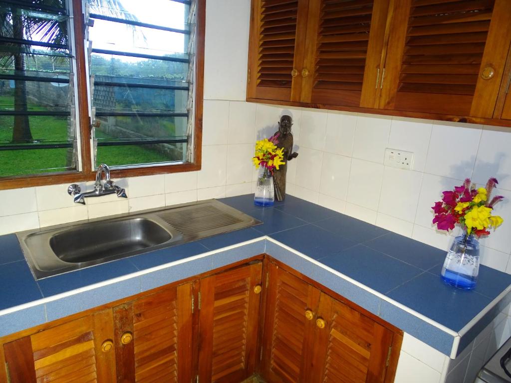 Diani-Paradise-Villas - 带花园的别墅