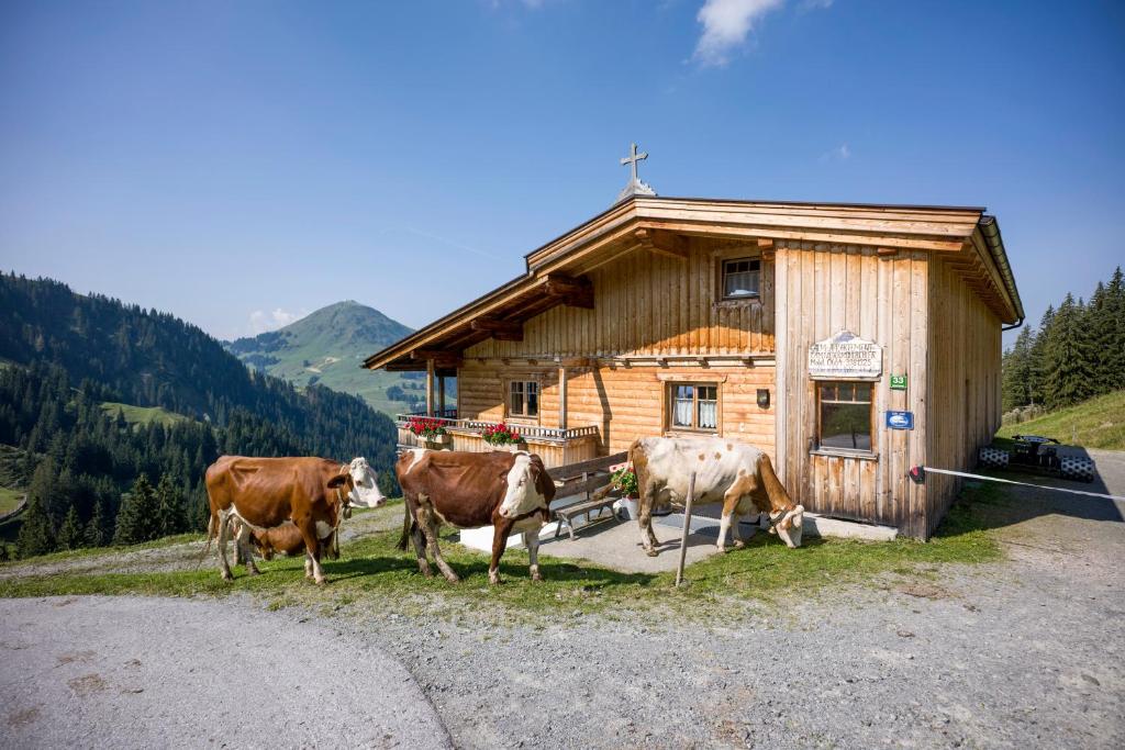 Alm-Appartement - Fam. Niedermühlbichler