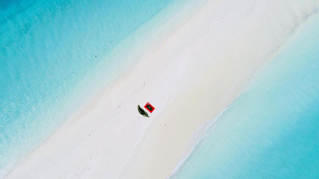 Rasdhoo Wave Blue v zimě