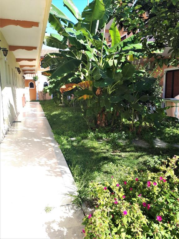 A garden outside Sophie Studios