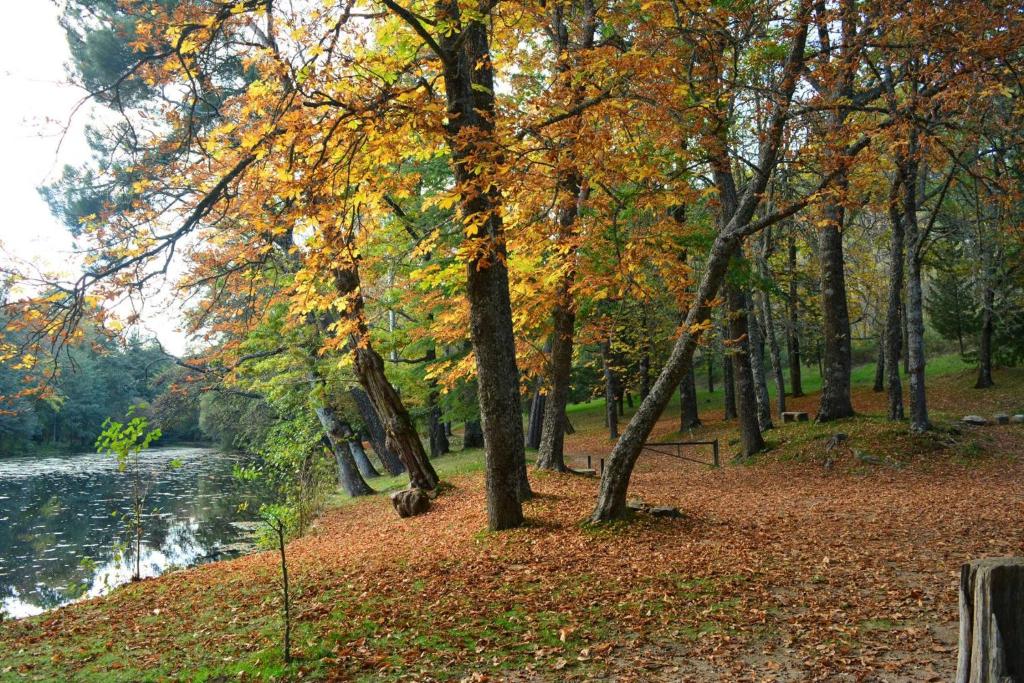 Príroda v okolí apartmánu