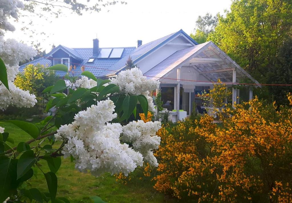 a house with white flowers in front of it at Galeria Sen in Smołdziński Las