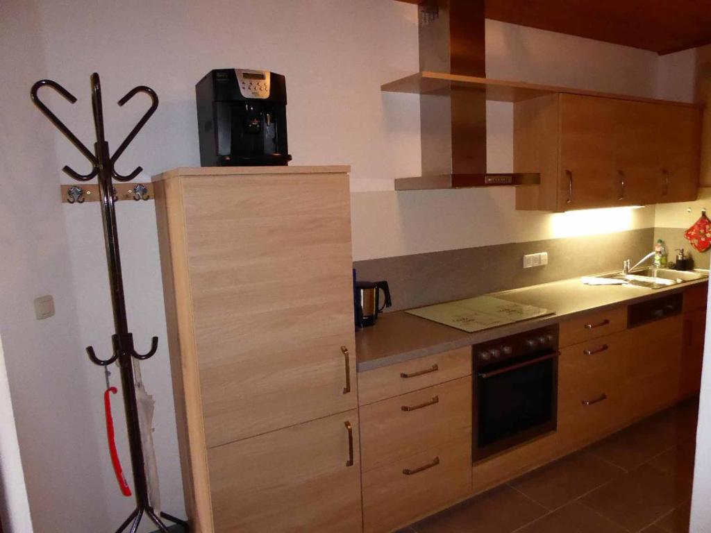 Kuchyň nebo kuchyňský kout v ubytování Appartement am Waldeck