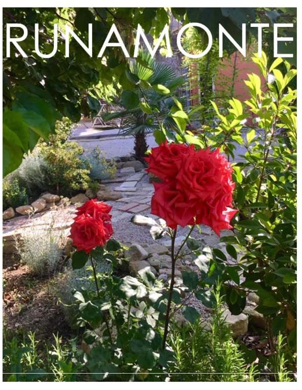 twee rode rozen in een tuin met het woord rremember bij Runamonte camere in Perugia
