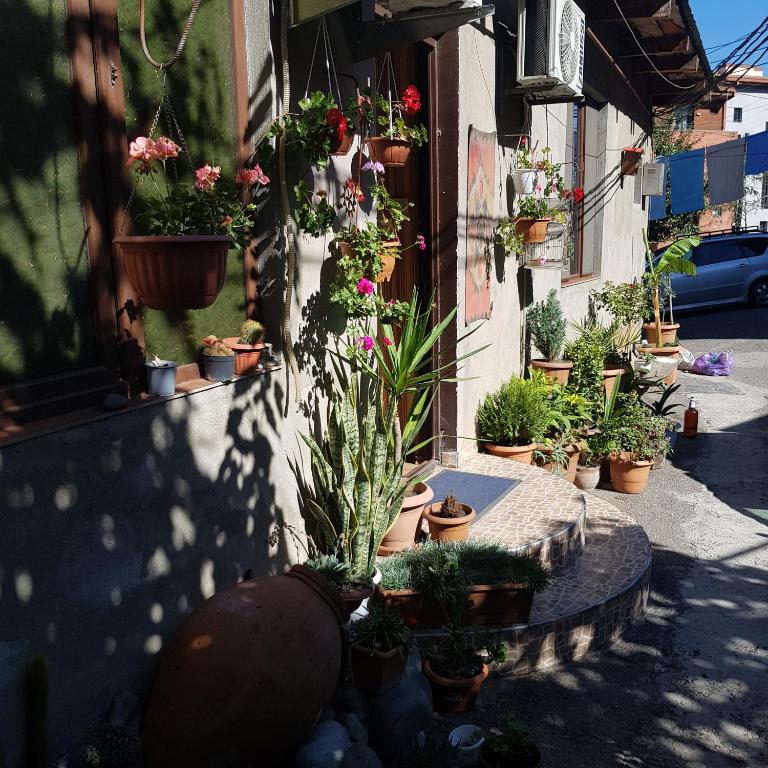 Zahrada ubytování Guesthouse Gia