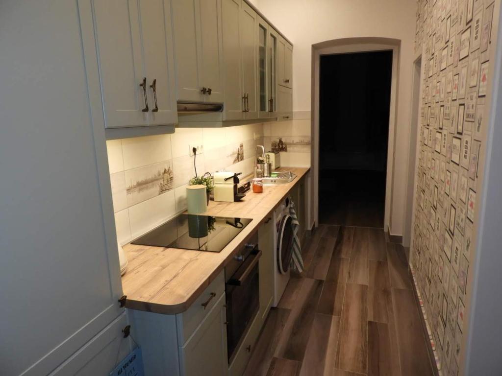 Kuchyňa alebo kuchynka v ubytovaní Gizella apartman