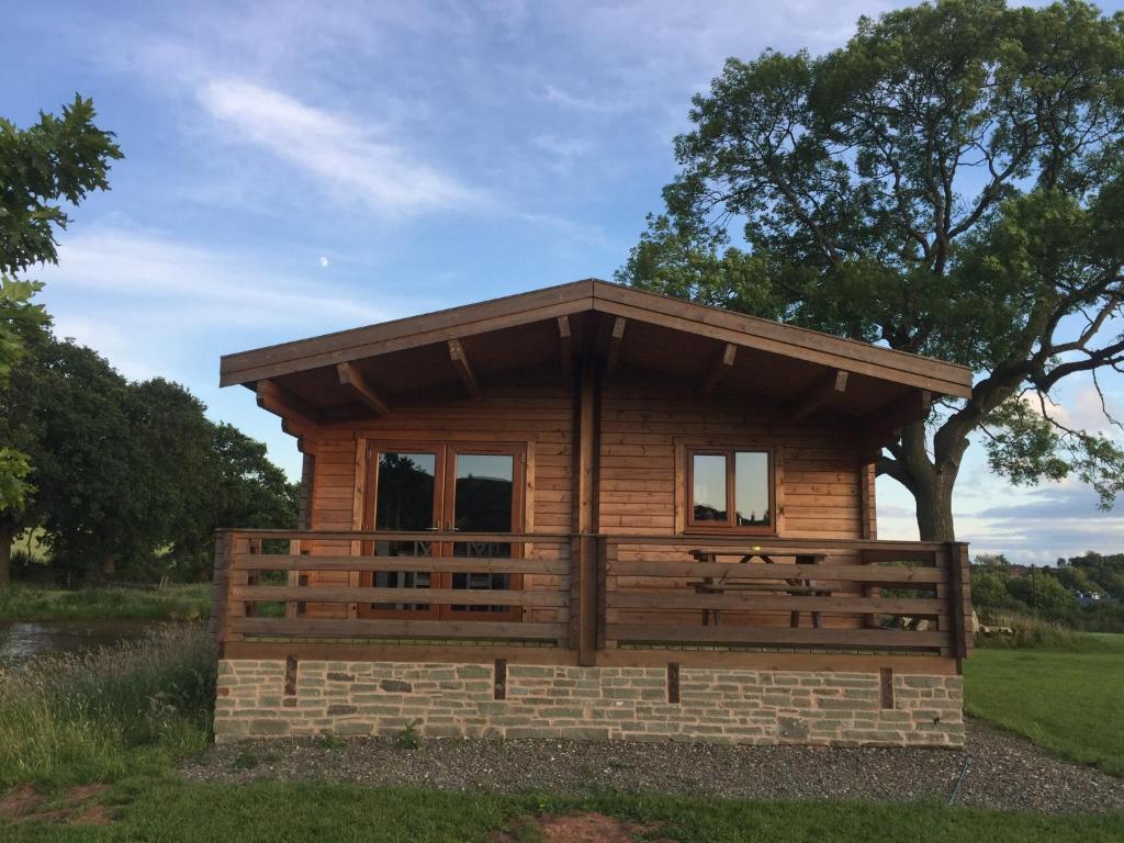 a small cabin in a field with a tree at RedWood Lodge in Ludlow