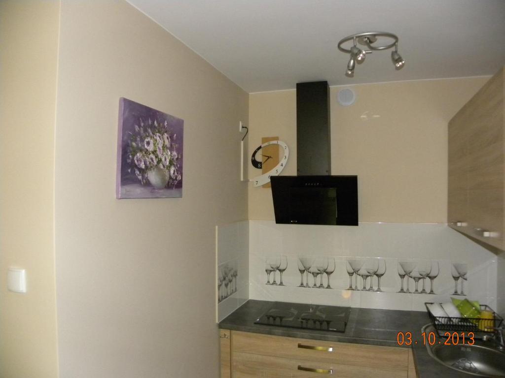 Kuchyňa alebo kuchynka v ubytovaní Apartament U Anny