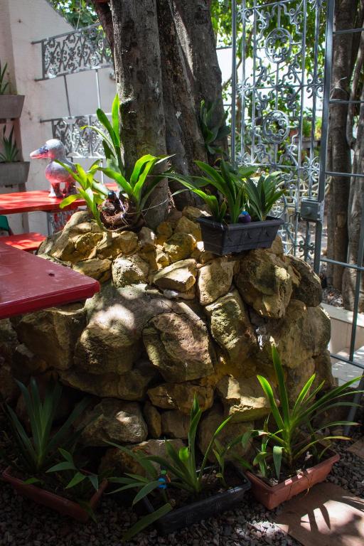  Casa Mirar Recife de Olinda