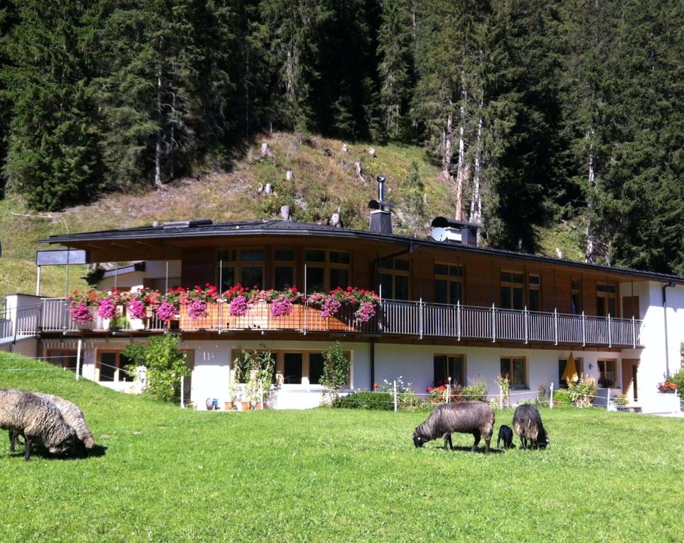 a house with animals grazing in the grass in front of it at An der Mühle in Tux