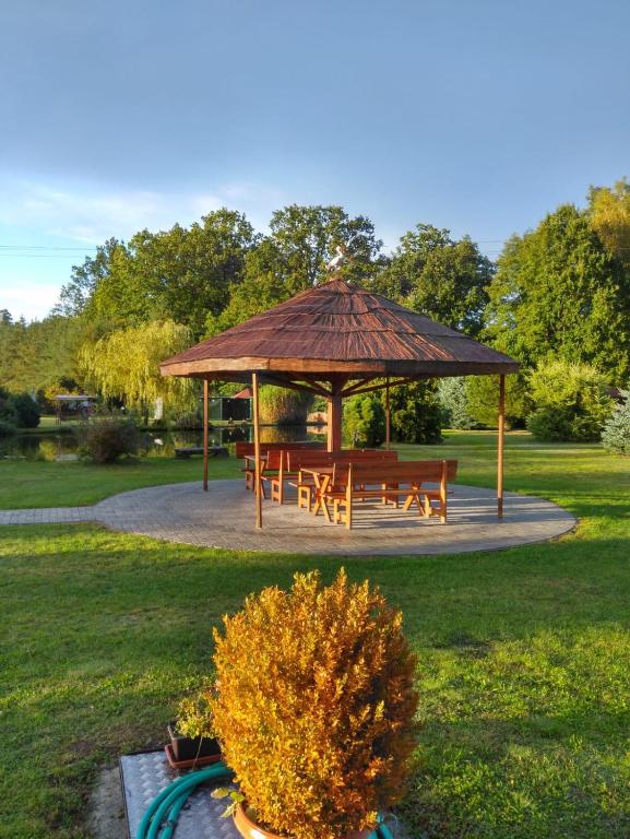 Zahrada ubytování Penzion Kosky