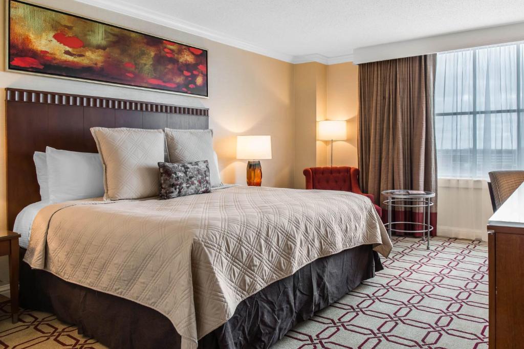 Omni Providence - 