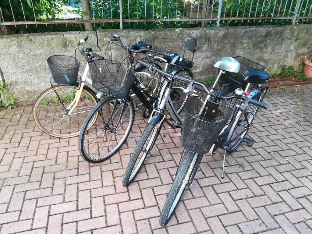 Jazda na bicykli v okolí ubytovania SWEET IRENE Deluxe