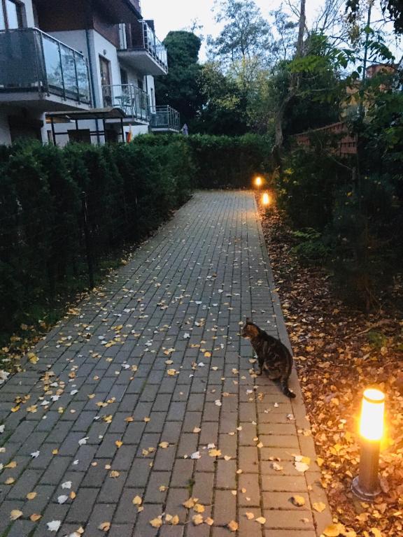 Apartament Gęsie Piórko - Apartamento De Una Habitación