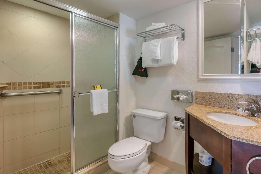 Best Western Plus Palm Beach Gardens Hotel & Suites and Conference Ct - キングルーム