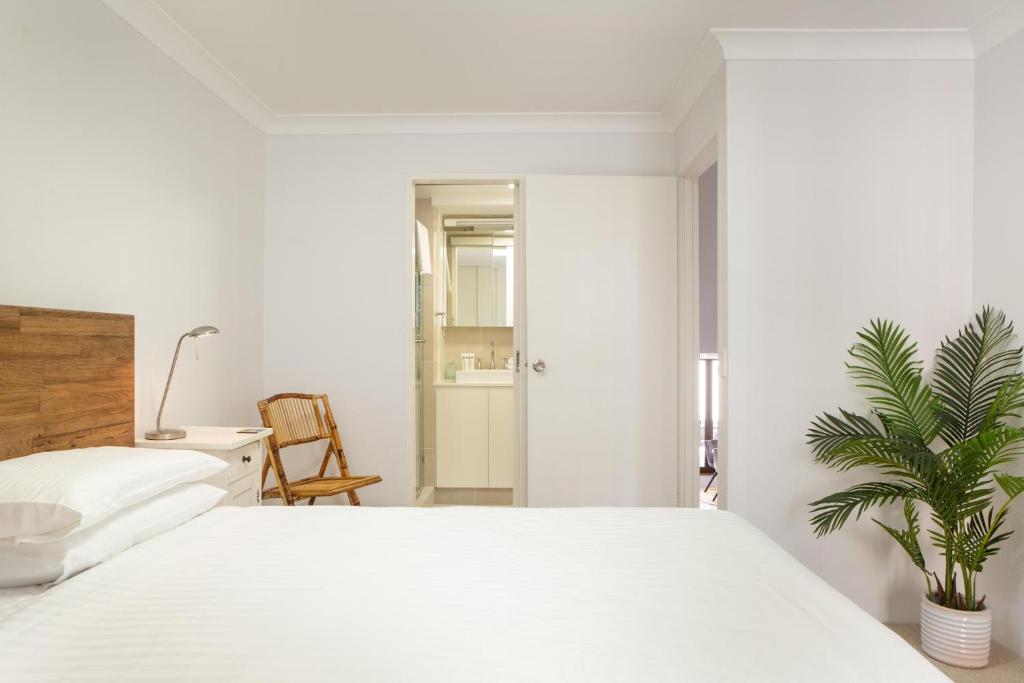 a bedroom with a white bed and a plant at Beachfront Manly Apartment With Balcony & Parking DUPLICATE in Sydney