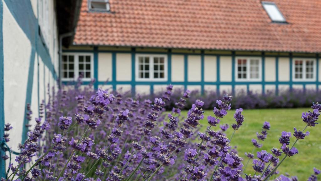 Zahrada ubytování Hotel Knudsens Gaard