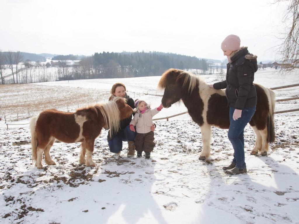 Eine Frau und eine Frau und ein Kind und ein Pferd in der Unterkunft Ferienhof Dirnberg in Amerang