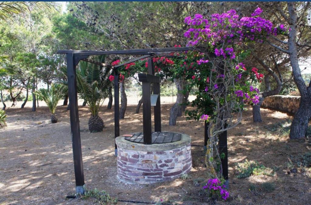 Villino Mery a Calasetta - Lussuosa villa con piscina