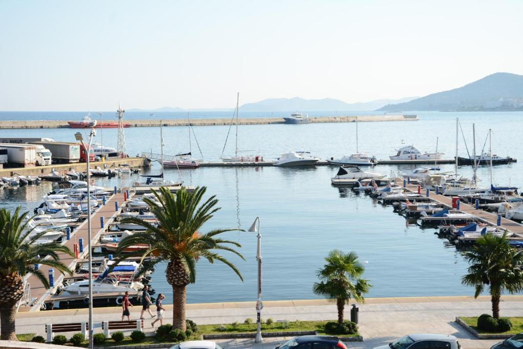 un port de plaisance avec de nombreux bateaux et palmiers dans l'établissement Kavala marina view studio, à Kavala
